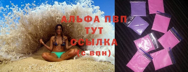 амф Магас