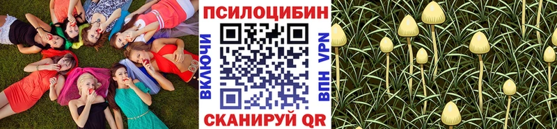 Псилоцибиновые грибы MAGIC MUSHROOMS  Щёлкино 